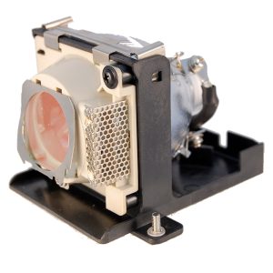 Lamp for LG RD-JT52 | AJ-LT50  Projectorbulb.co.uk
